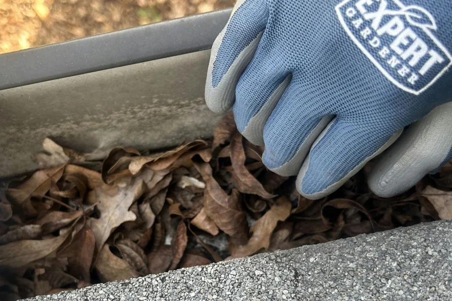 Gutter Cleaning Becknerville