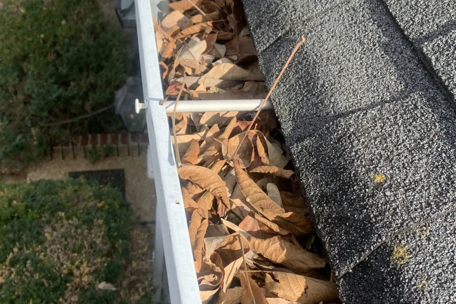 Gutter Cleaning Becknerville